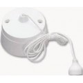 Ceiling Switch's / Pendant / Batten and rose