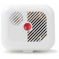 Domestic Smoke Detectors