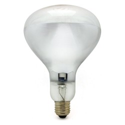 250W ES Infrared R125 Hard Glass Lamp Clear