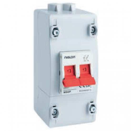 Niglon MSI2P 100A DP Meter Supply Switch