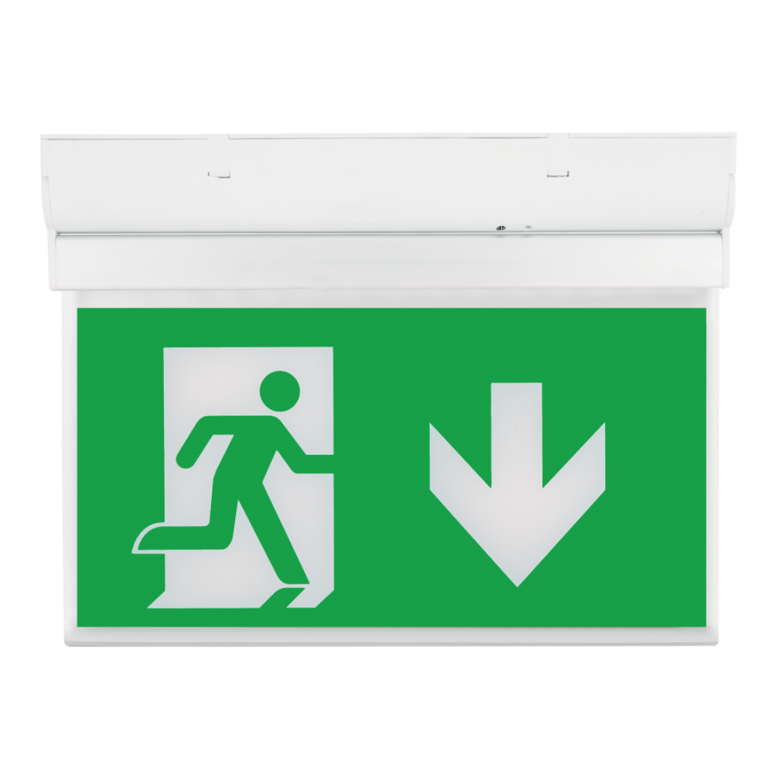 Ovia Hanex OBKH2-D-W 2W Wall/Ceiling Emergency Exit Sign with Down ...
