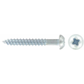 Wood Screws (Raised Head)