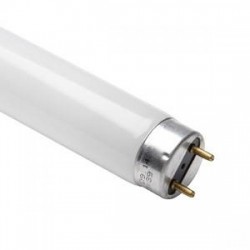 T8 Flykiller Bulb 15W 438mm