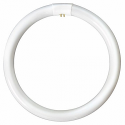 T9 Circular Triphosphor Bulb 40W Cool white