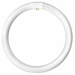 T9 Circular Triphosphor Bulb 60W