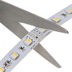 Cut Length Input / Output