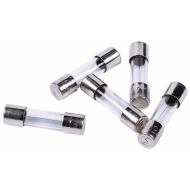 20mm Glass Fuse Time Lag 10A