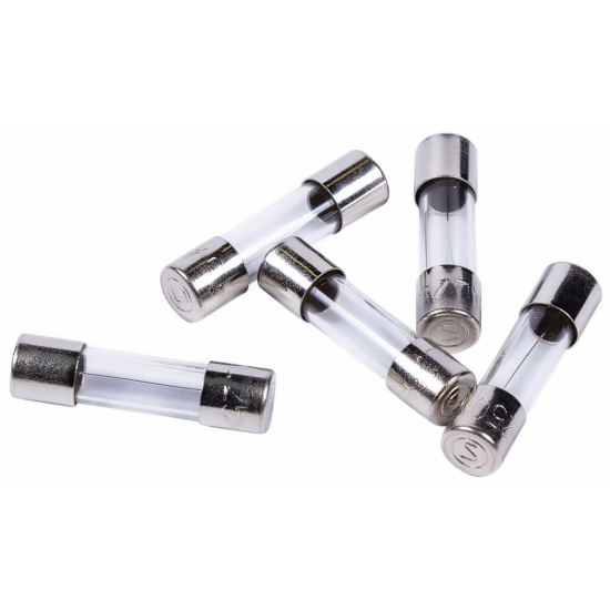 20mm Glass Fuse Time Lag 10A
