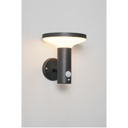 Forum Lighting ZN-42049 Claire 4.4W LED Solar Wall Light With PIR Black