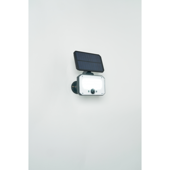 Forum Lighting ZN-42057 Bradley 3W LED Solar Floodlight With ground Spike black