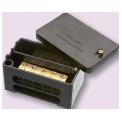 Service Connector 100A Double Pole