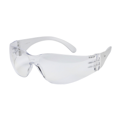 Standard Safety Glasses Clear_One Size