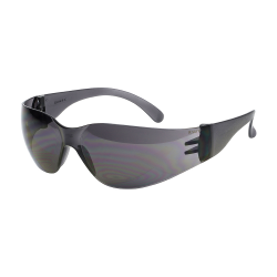 Standard Safety Glasses Smoke_One Size