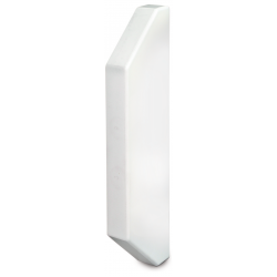 Dado Trunking End Cap